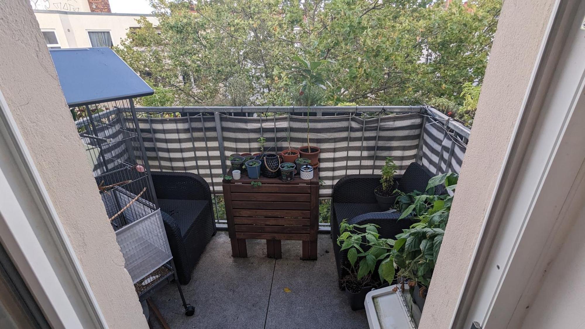 Cosy Flat In Berlin's Trendy Area Appartement